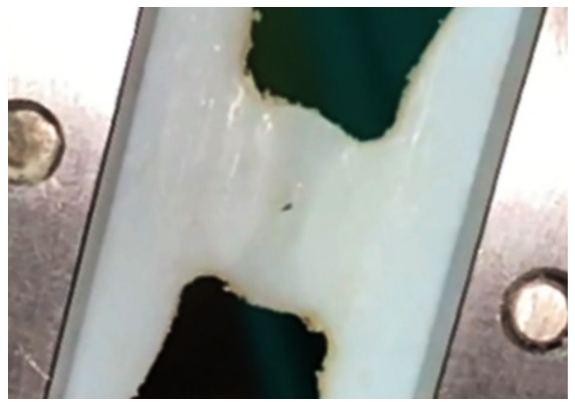 Mathematics 09 01495 g010 550