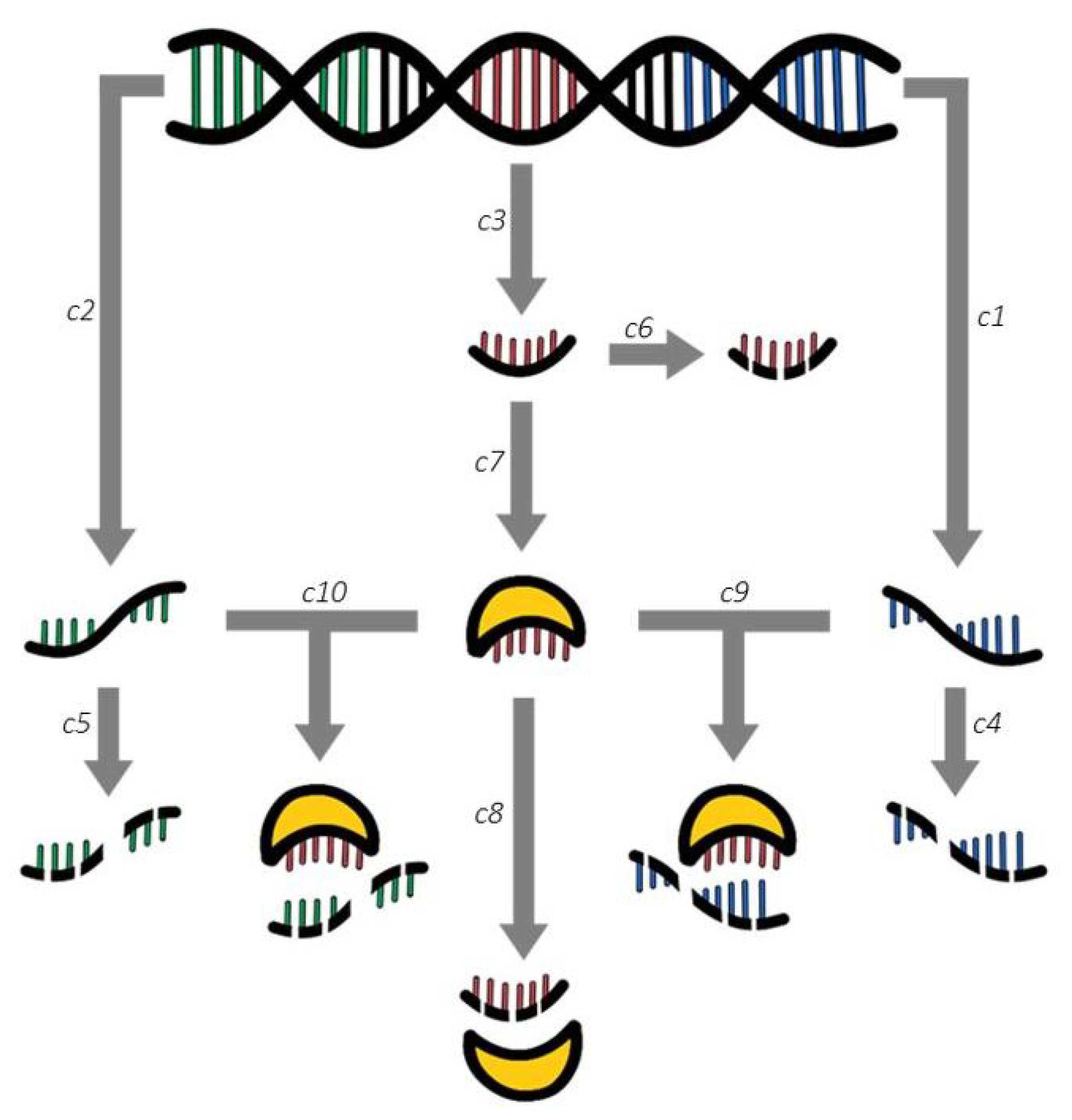 Mathematics 09 01803 g001