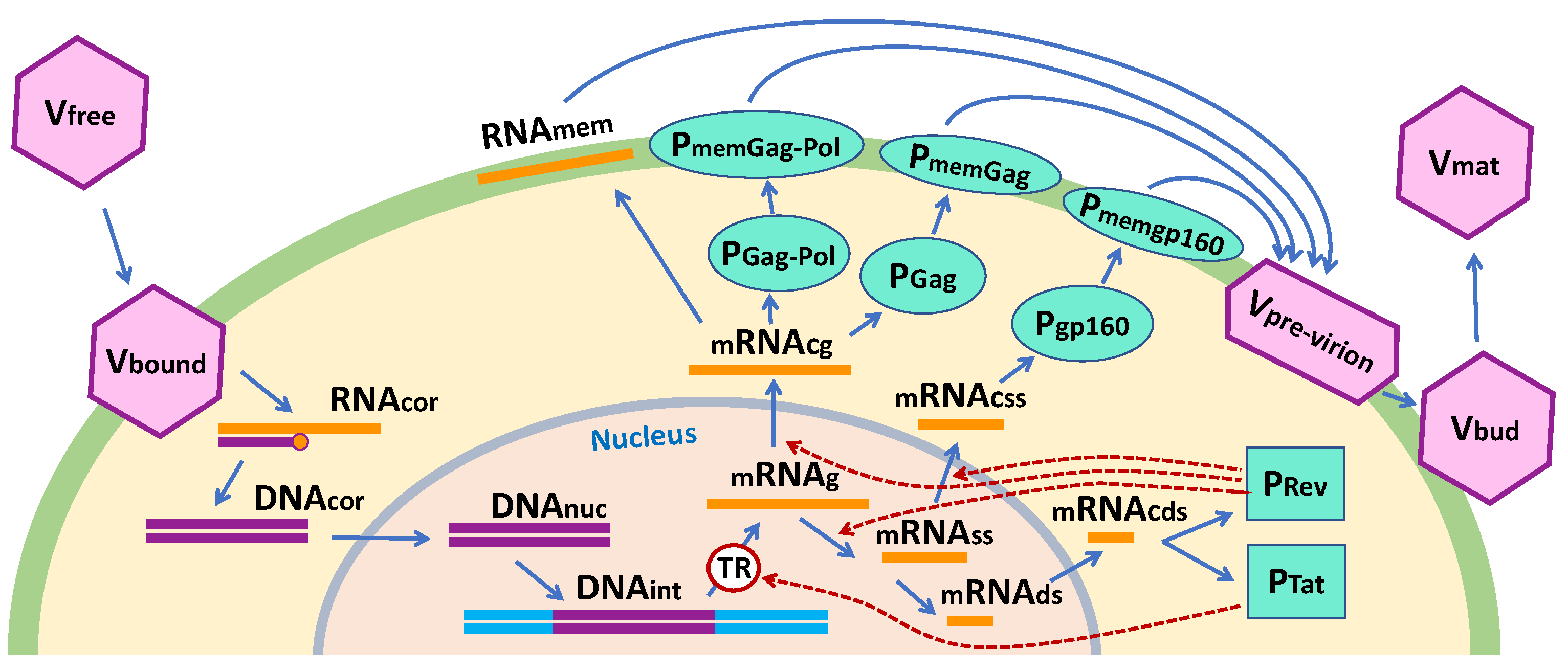 Mathematics 09 02025 g001