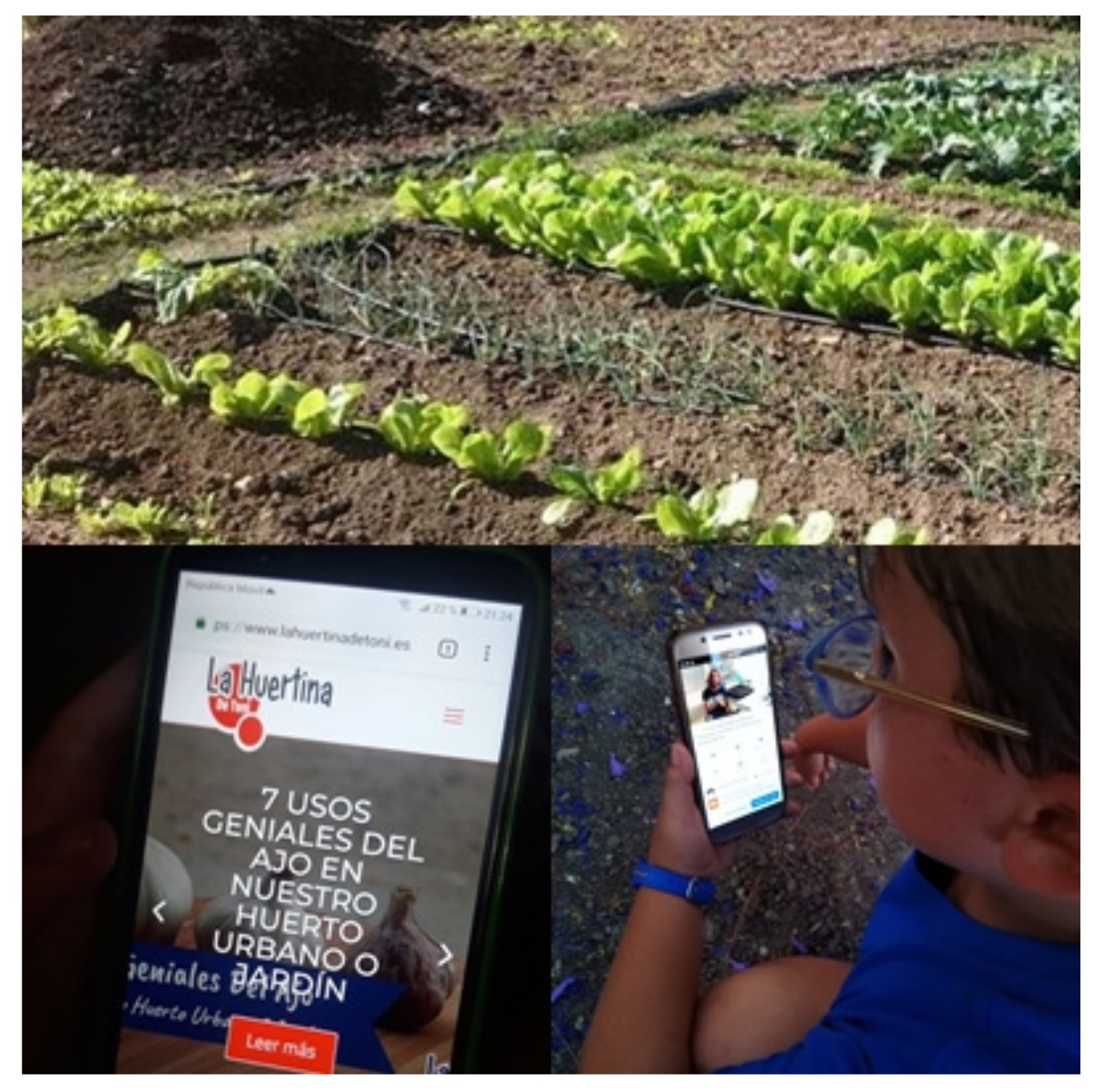 Mathematics 09 02108 g001