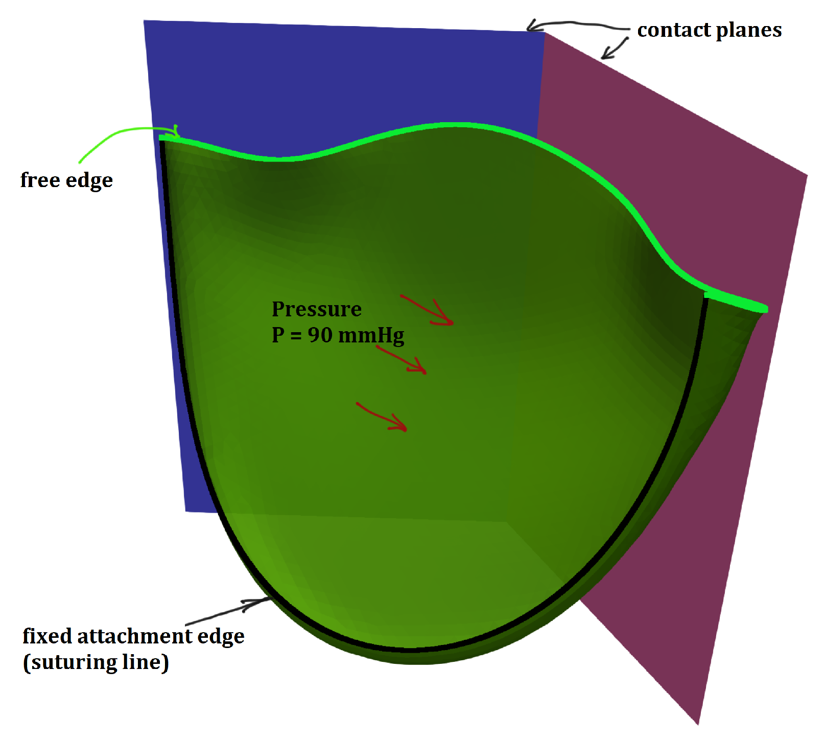 Mathematics 09 02193 g010