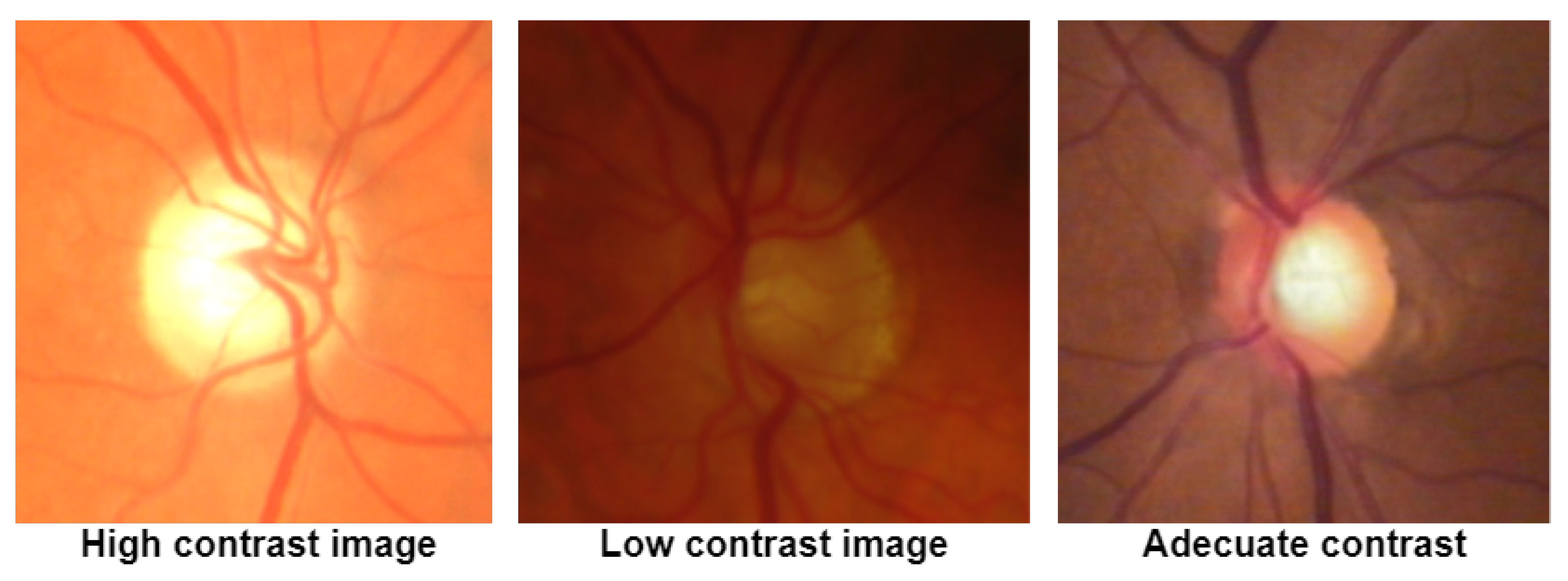 Mathematics 09 02237 g010 550