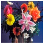 Mathematics 09 02360 i034