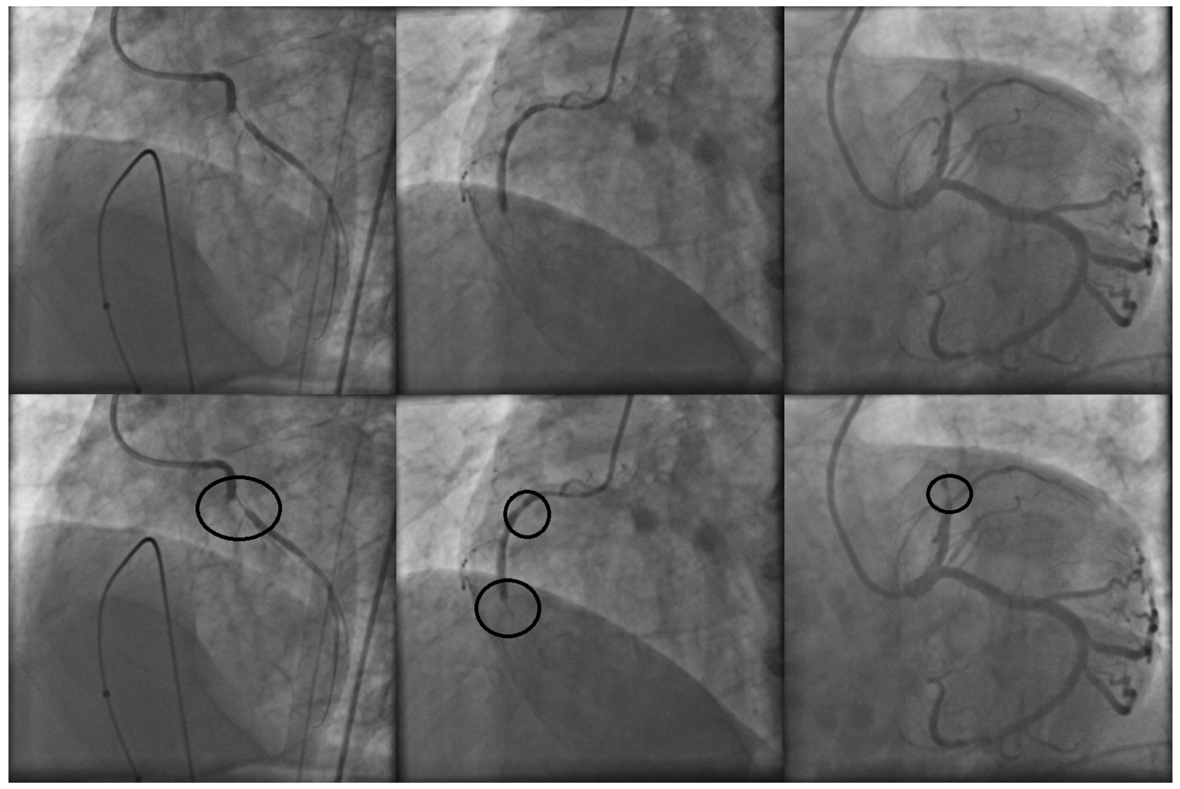 Mathematics 09 02471 g001