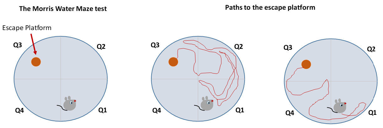 Mathematics 09 02477 g007 550
