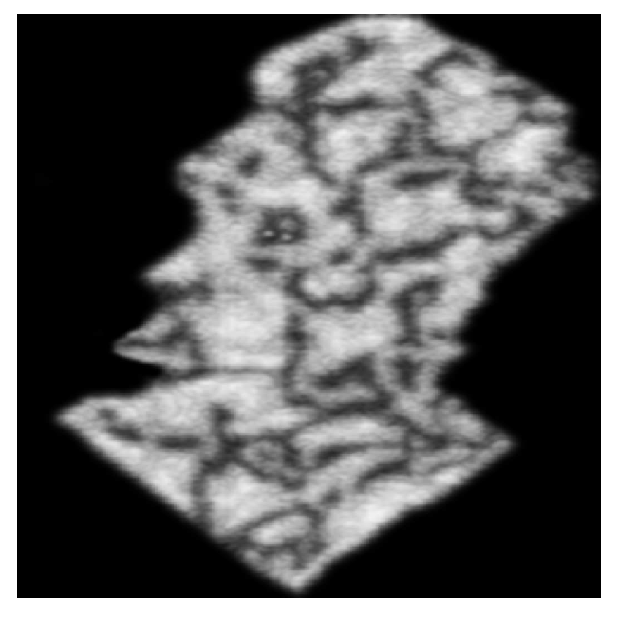 Mathematics 09 02536 g007 550