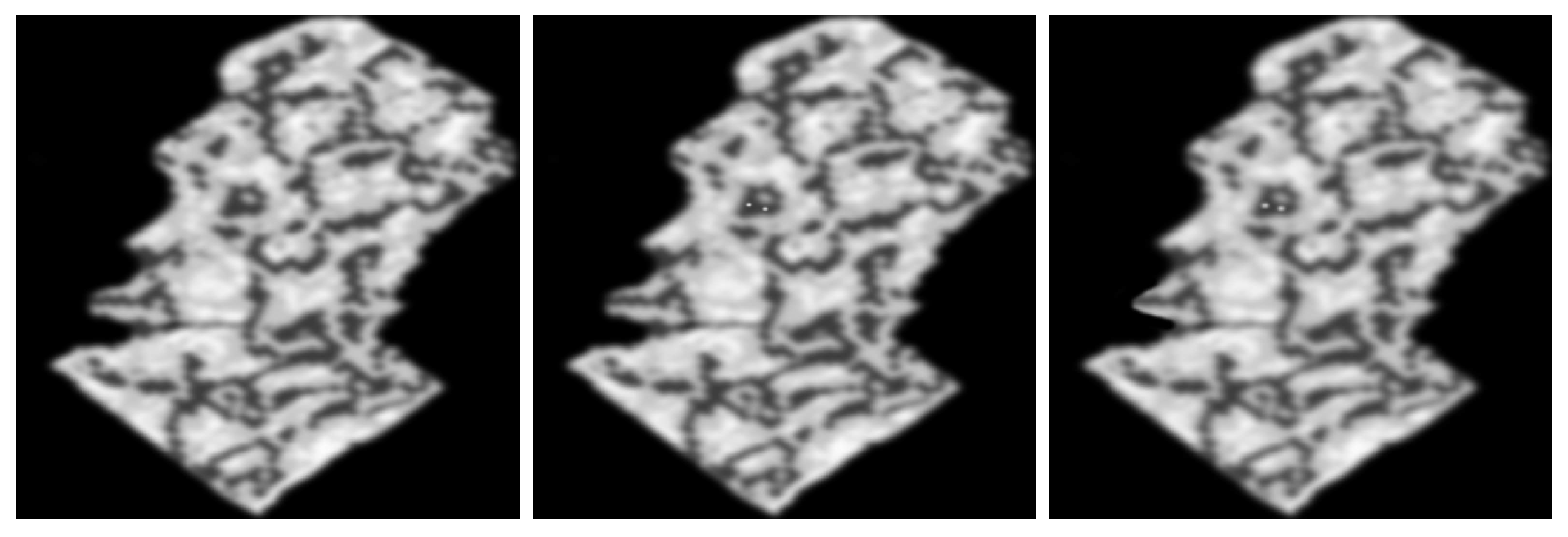 Mathematics 09 02536 g010 550