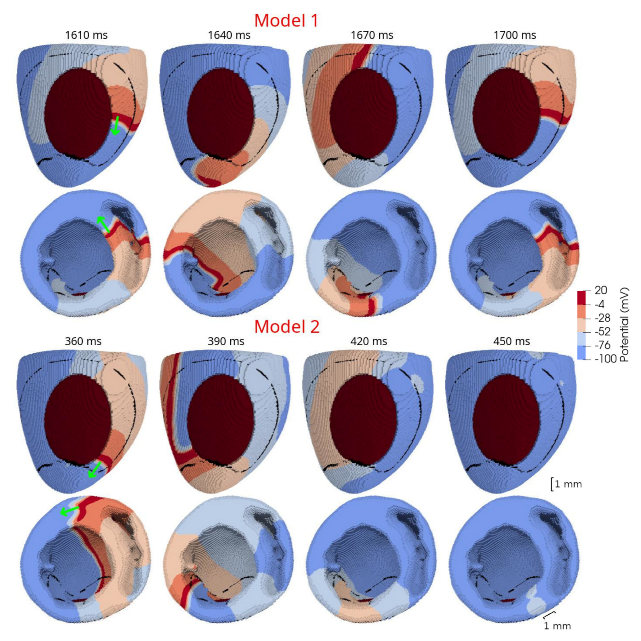 Mathematics 09 02604 g009