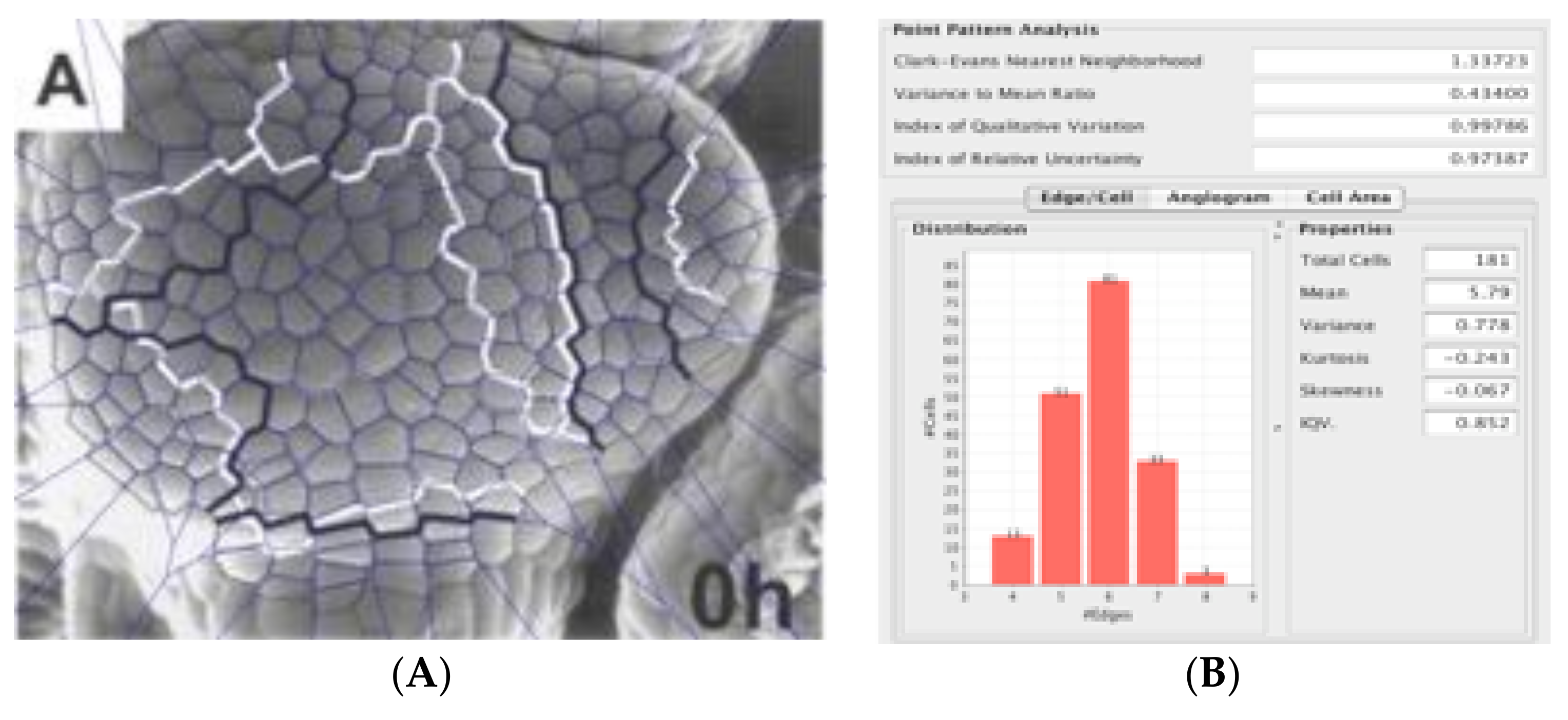Mathematics 09 02726 g013