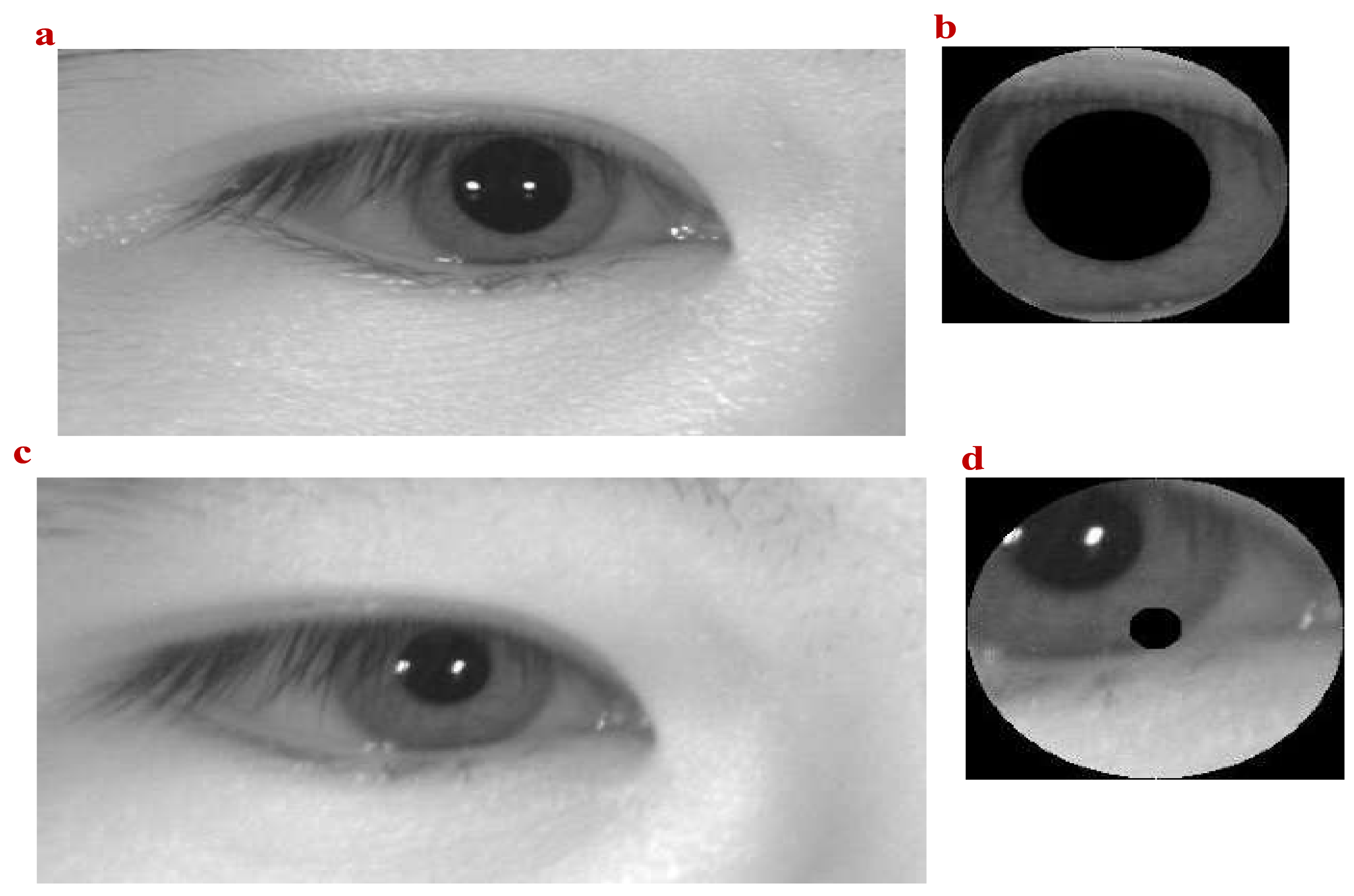 Mathematics 09 02790 g006 550