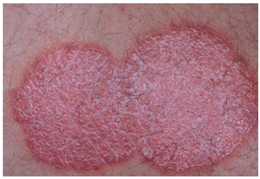 Mathematics 09 02974 i003