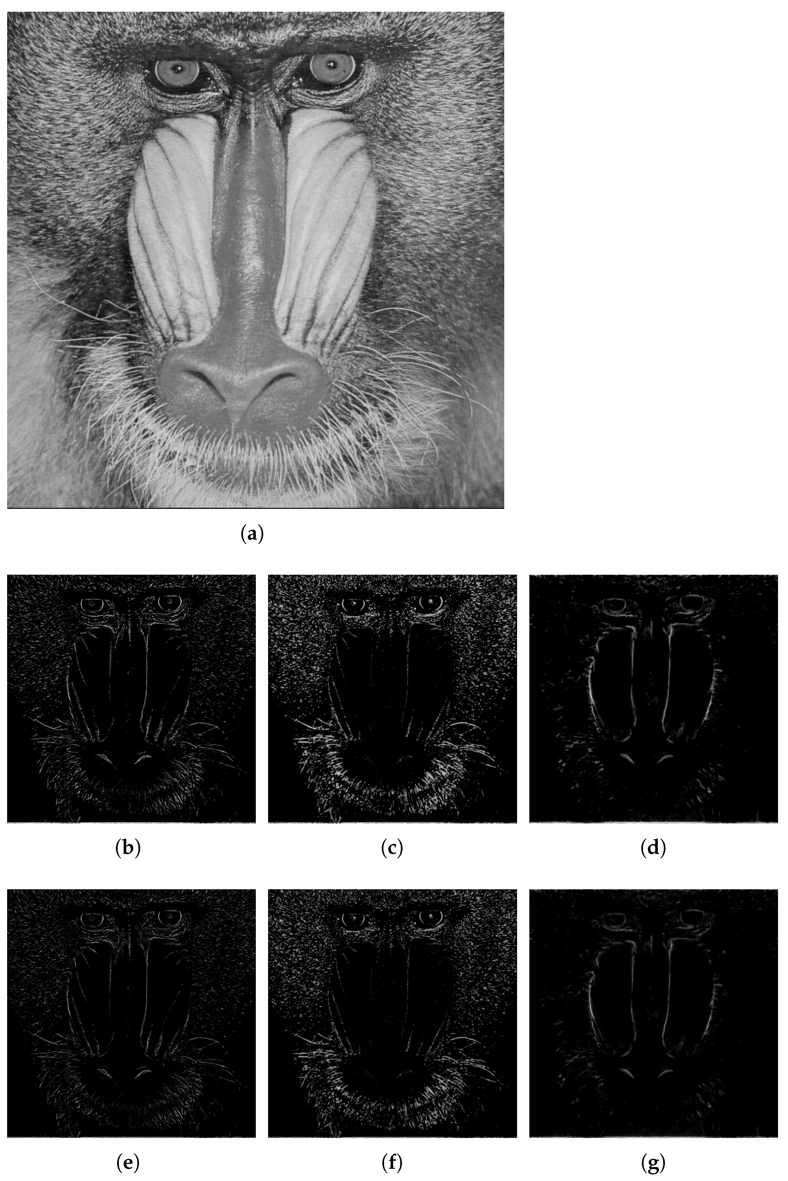 Mathematics 09 03080 g007 550