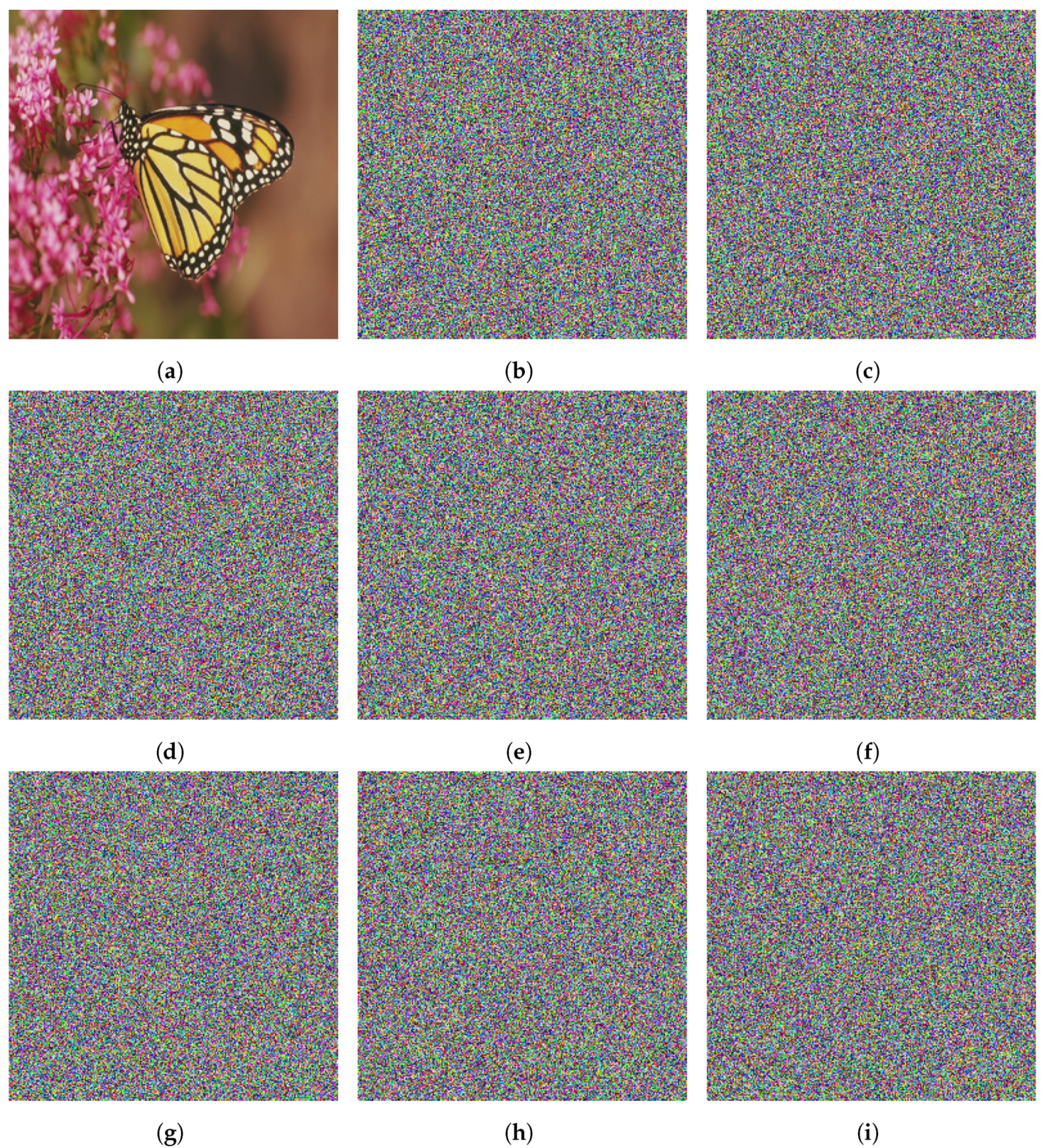 Mathematics 09 03131 g013 550