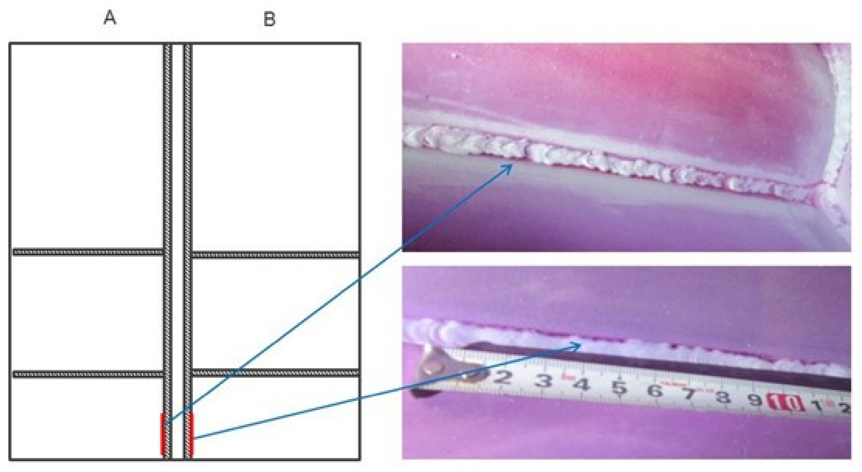 Mathematics 09 03230 g001 550