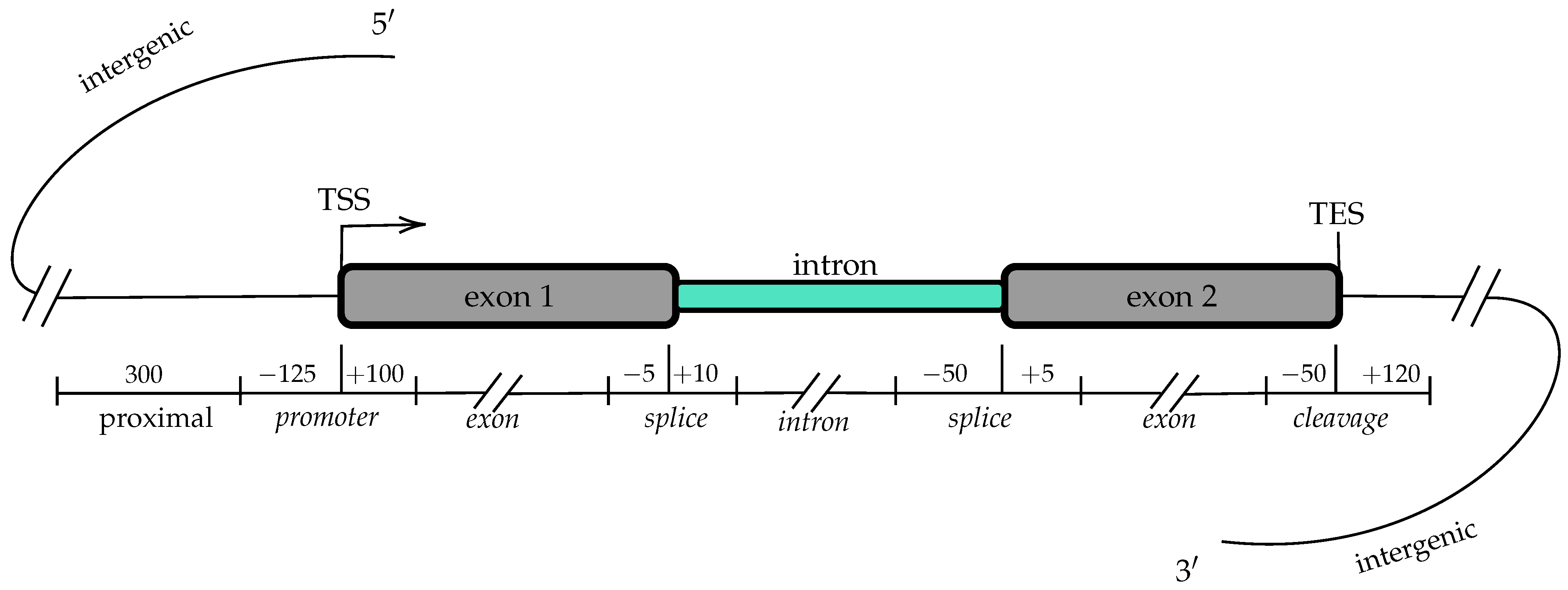 Mathematics 09 03239 g002