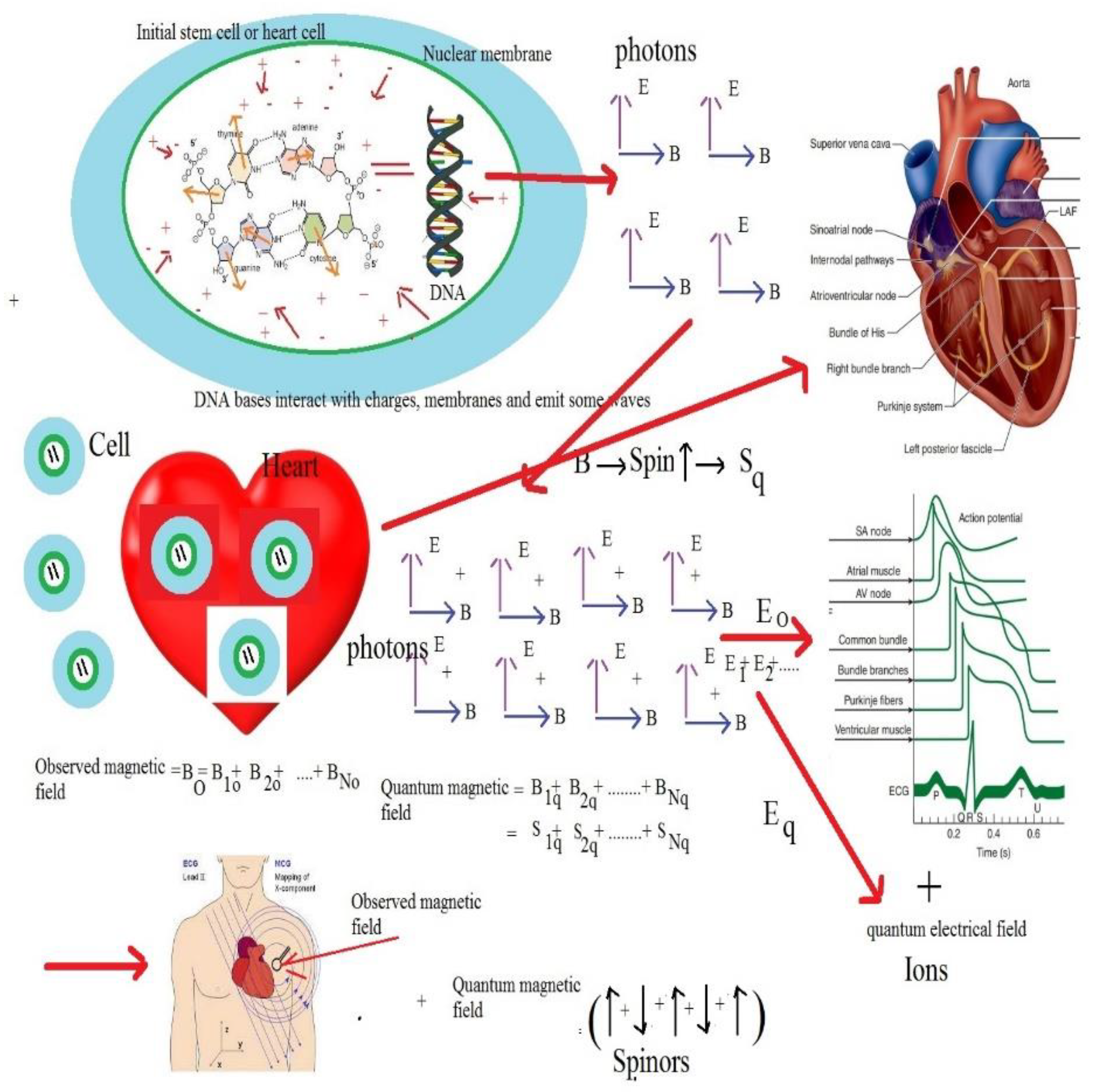 Mathematics 09 03310 g003