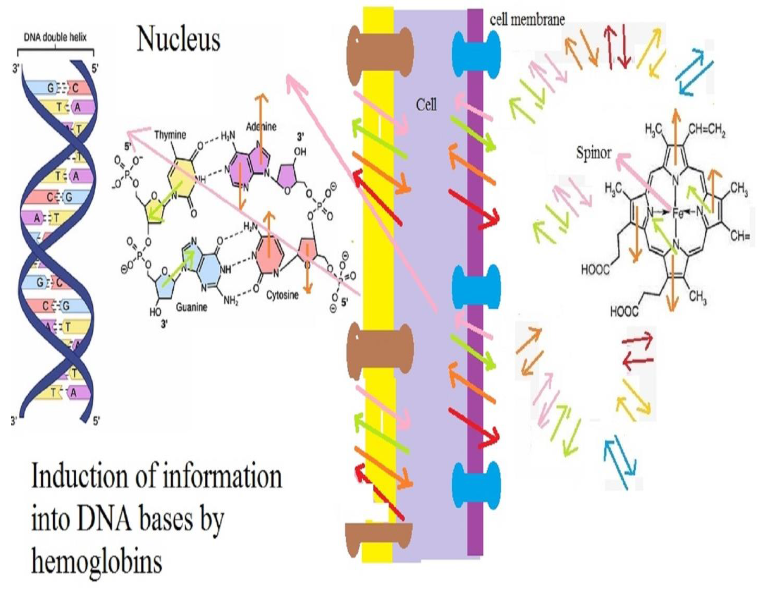 Mathematics 09 03310 g005
