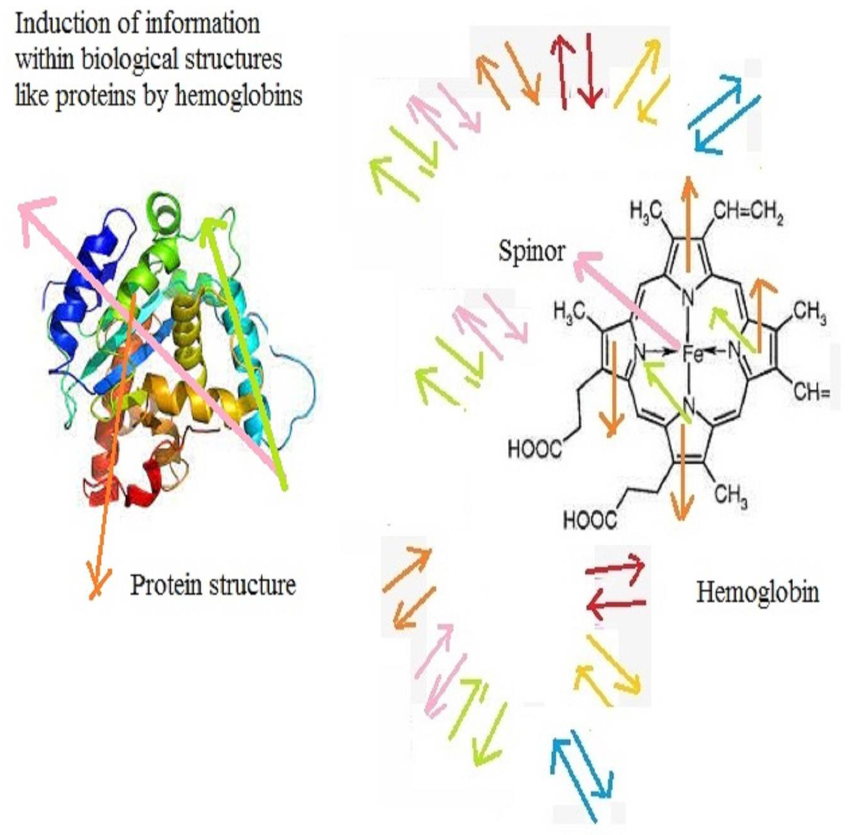 Mathematics 09 03310 g006