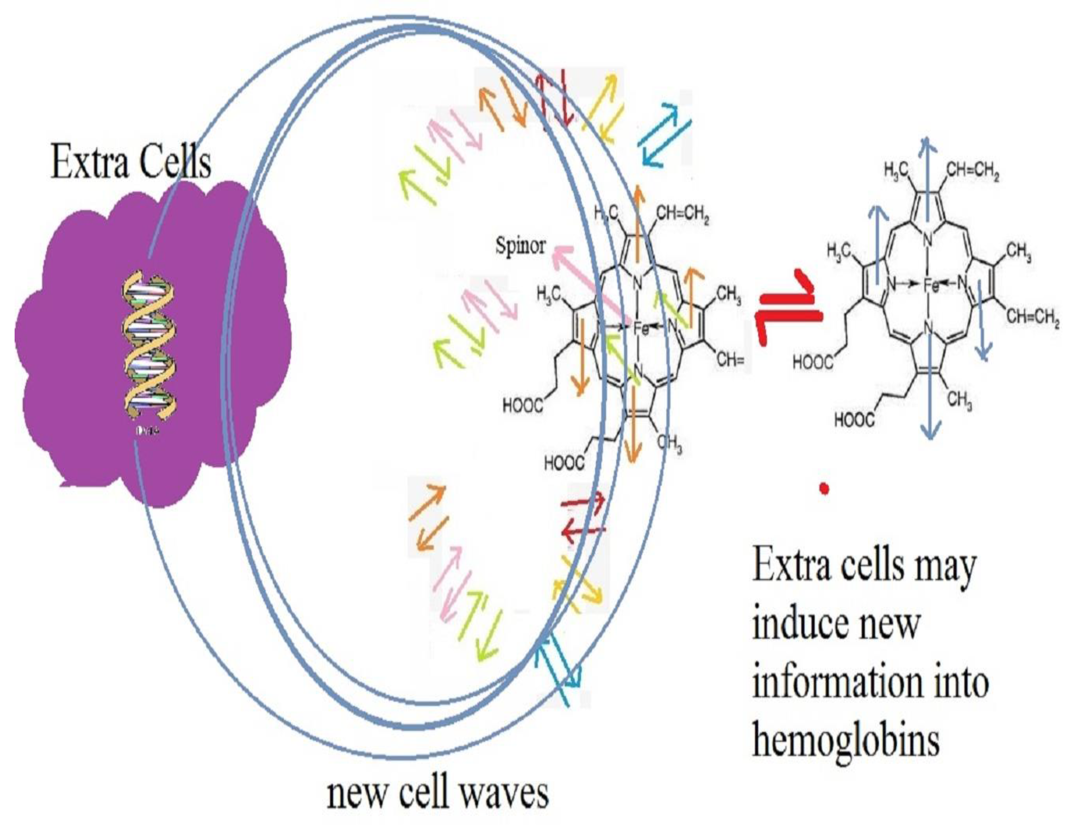Mathematics 09 03310 g008