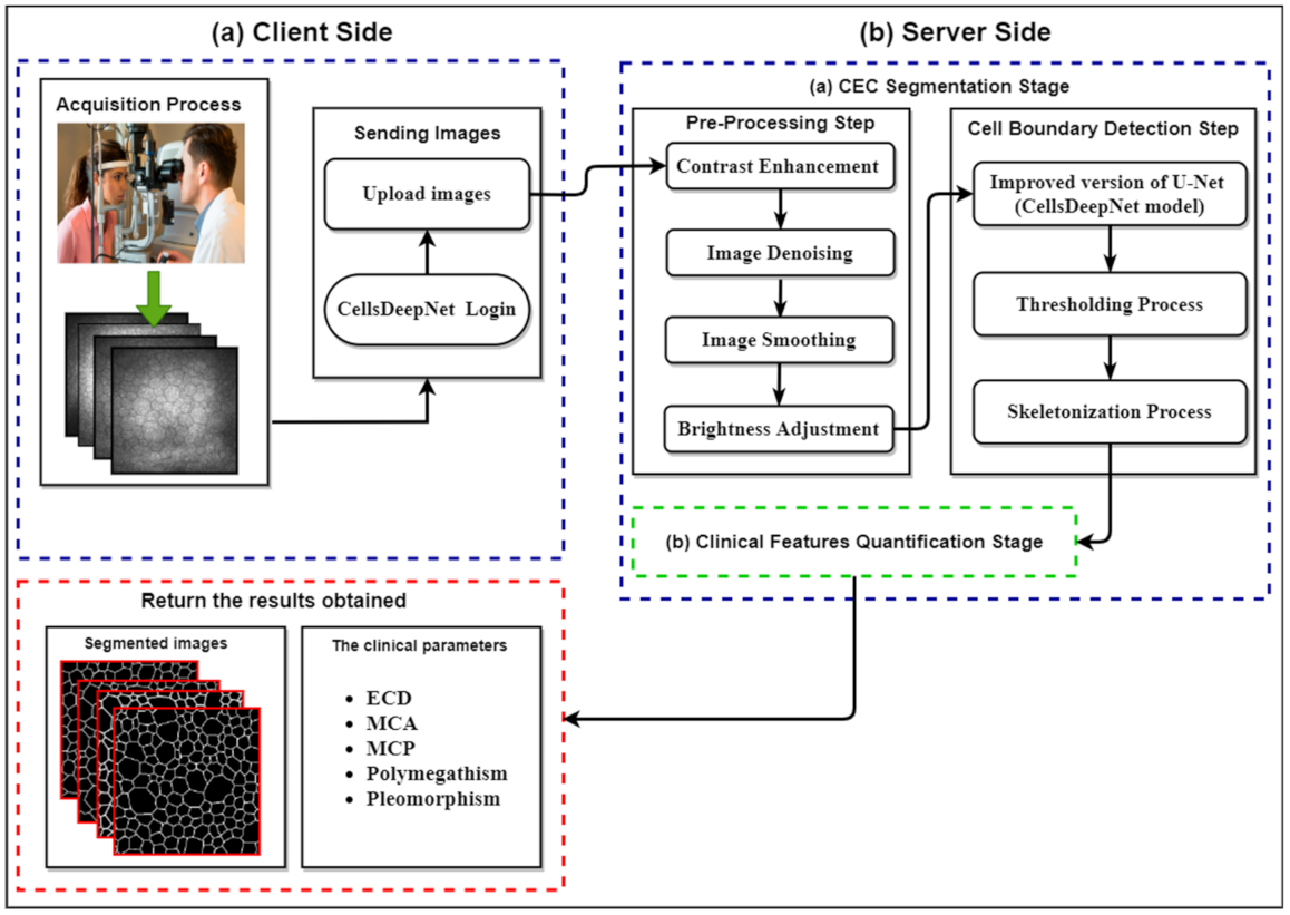 Mathematics 10 00320 g001 550