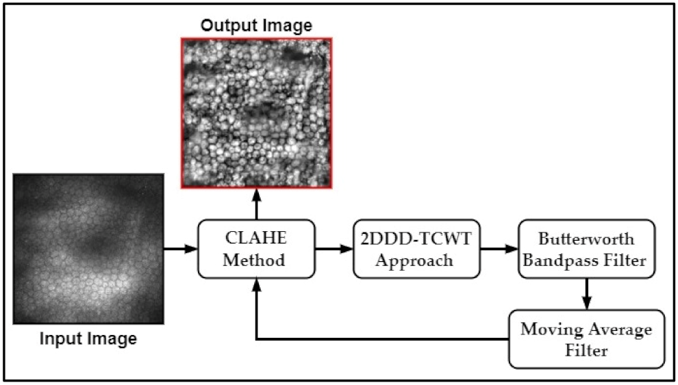 Mathematics 10 00320 g003 550