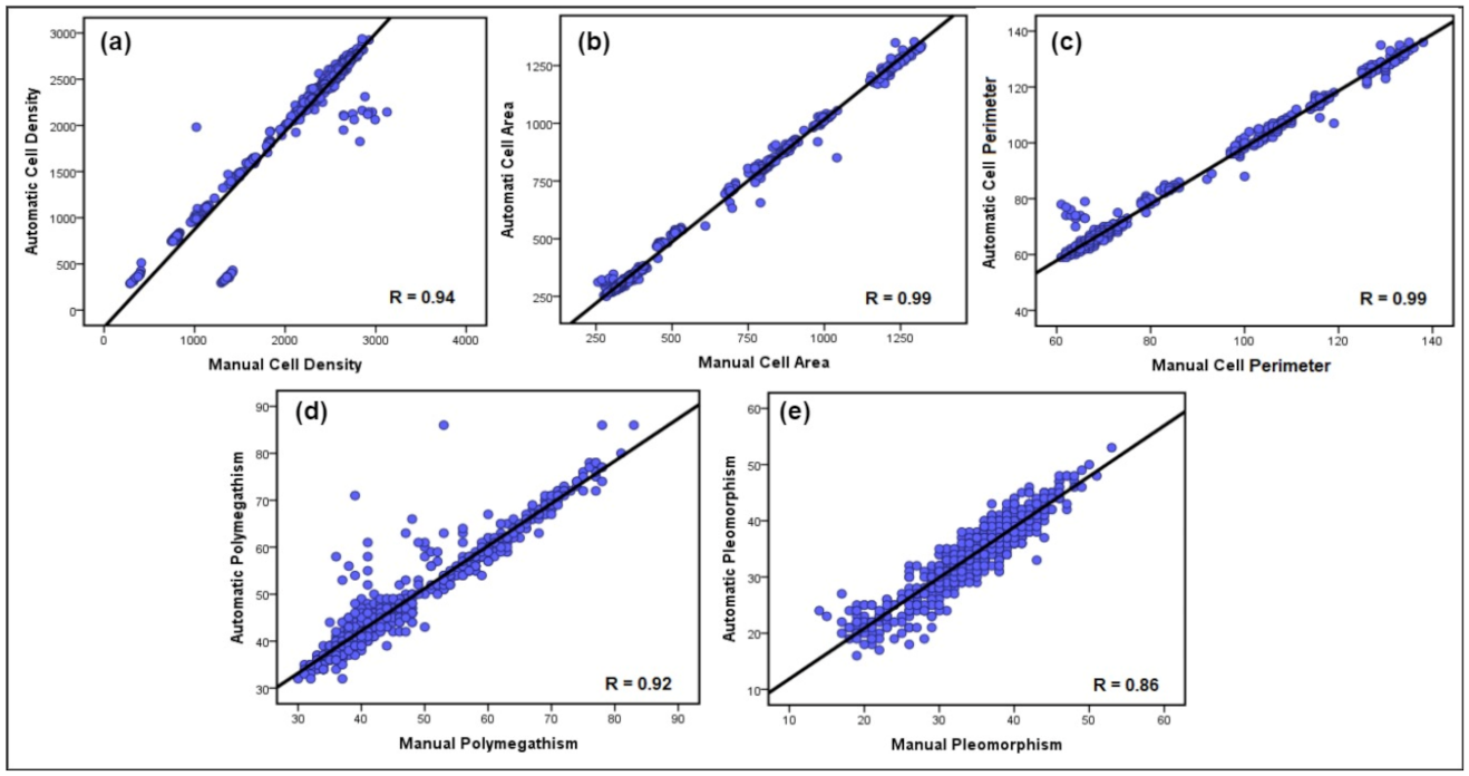 Mathematics 10 00320 g012 550