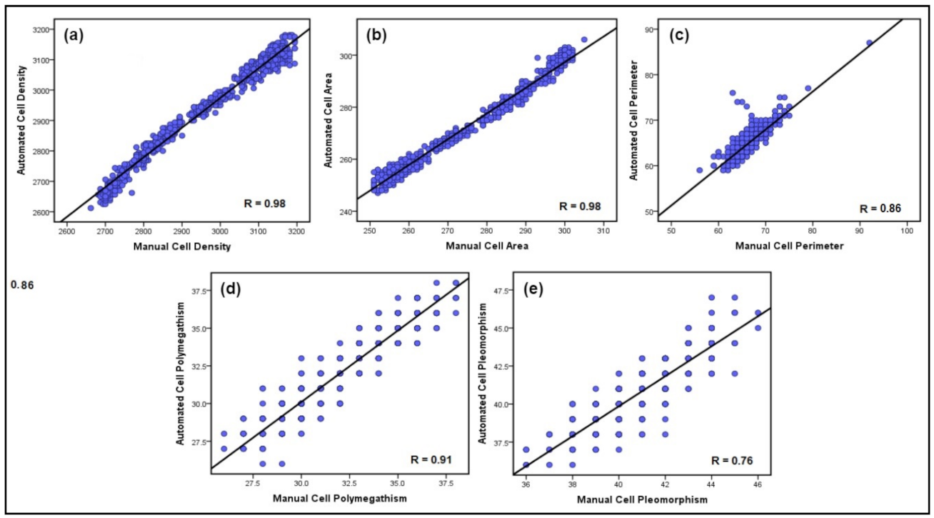 Mathematics 10 00320 g015 550