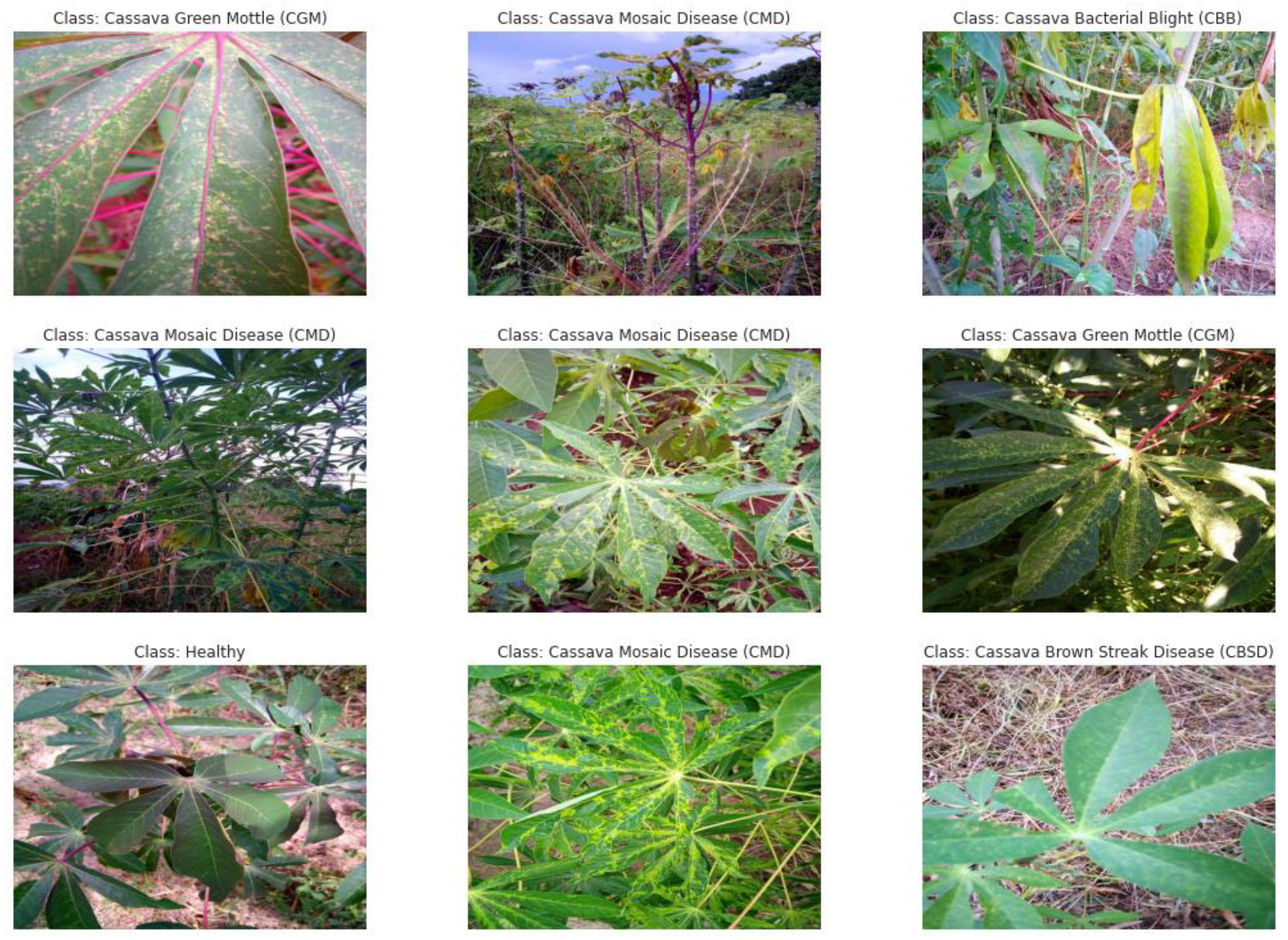 Mathematics 10 00580 g006