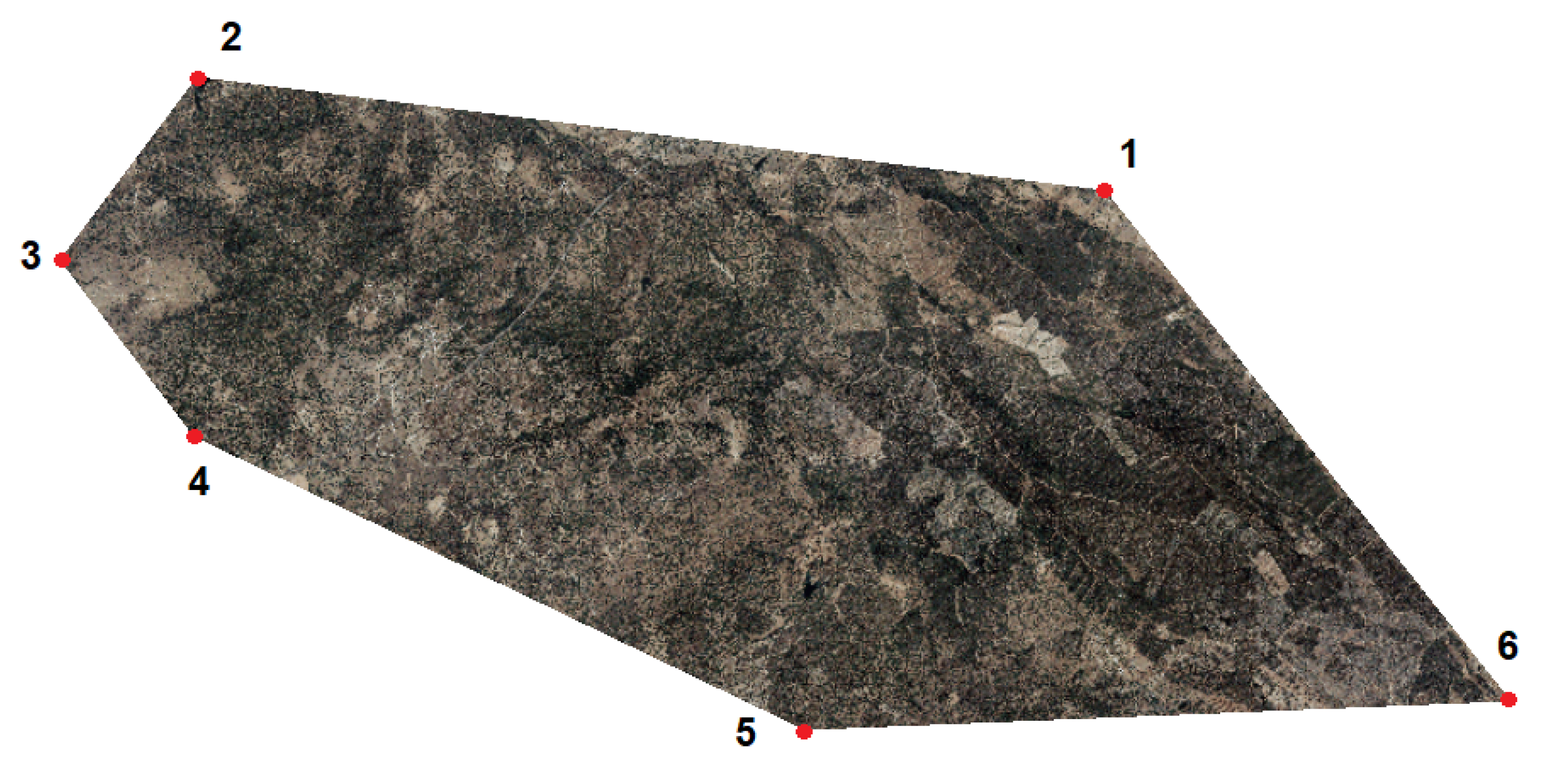 Mathematics 10 00588 g006 550