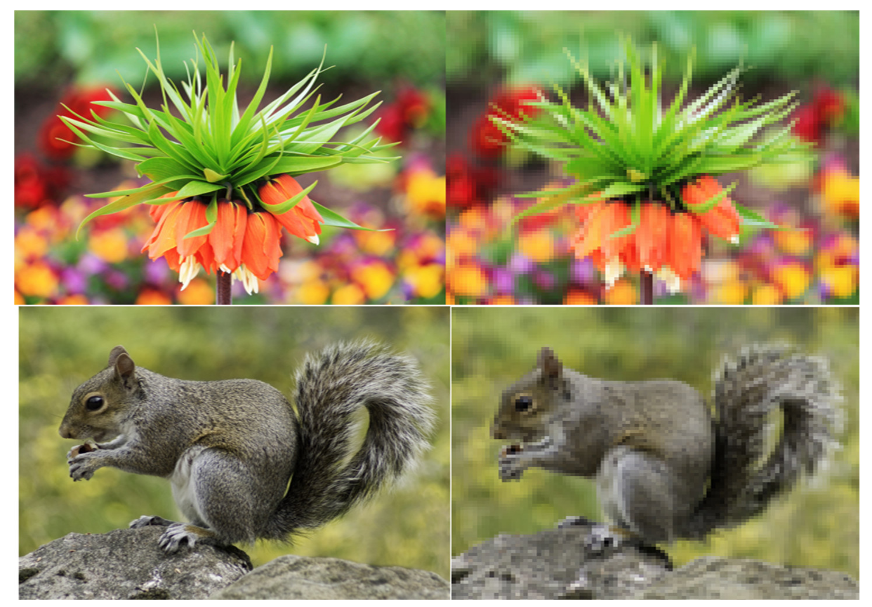 Mathematics 10 00777 g007 550