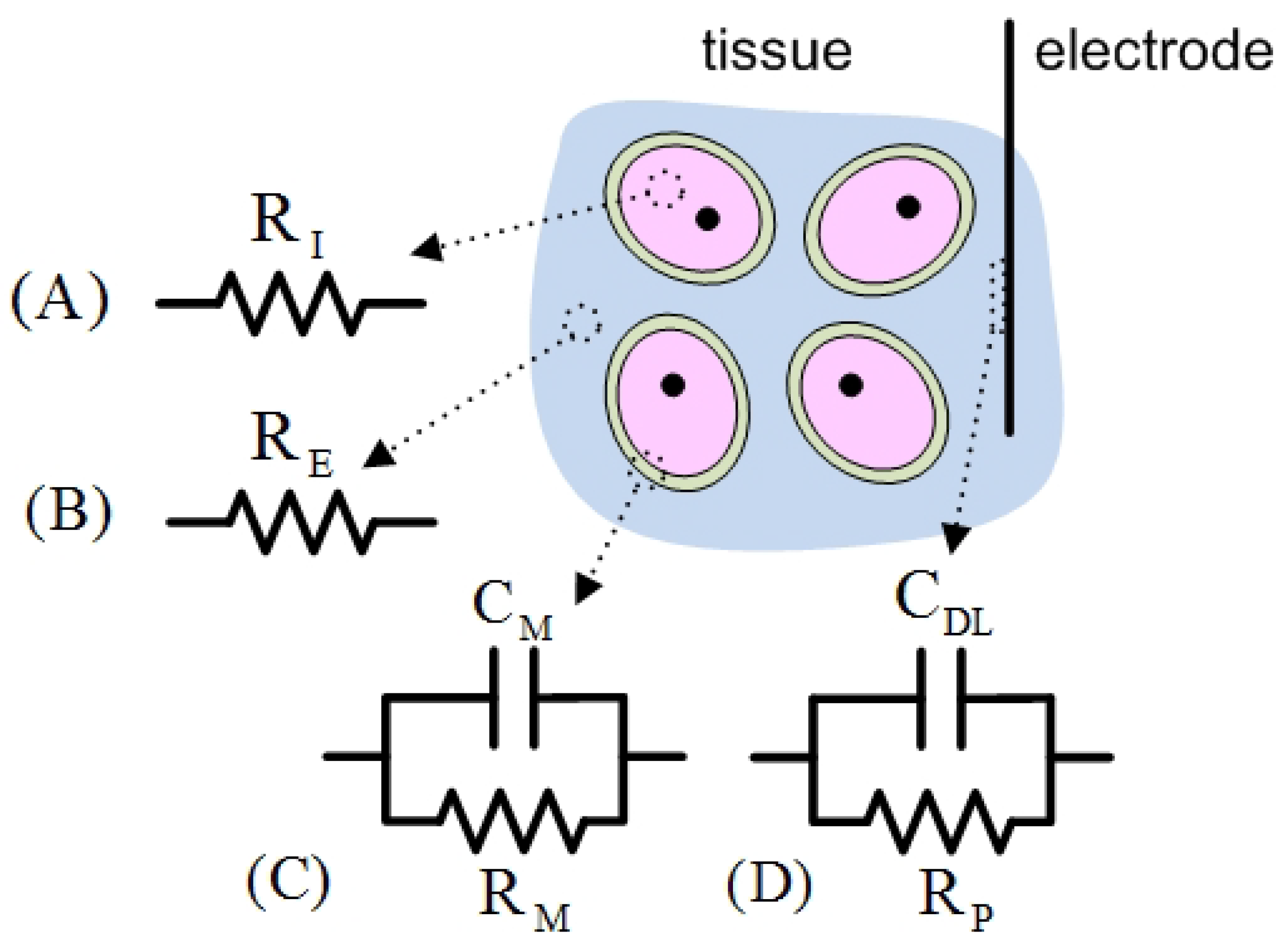 Mathematics 10 00837 g002 550