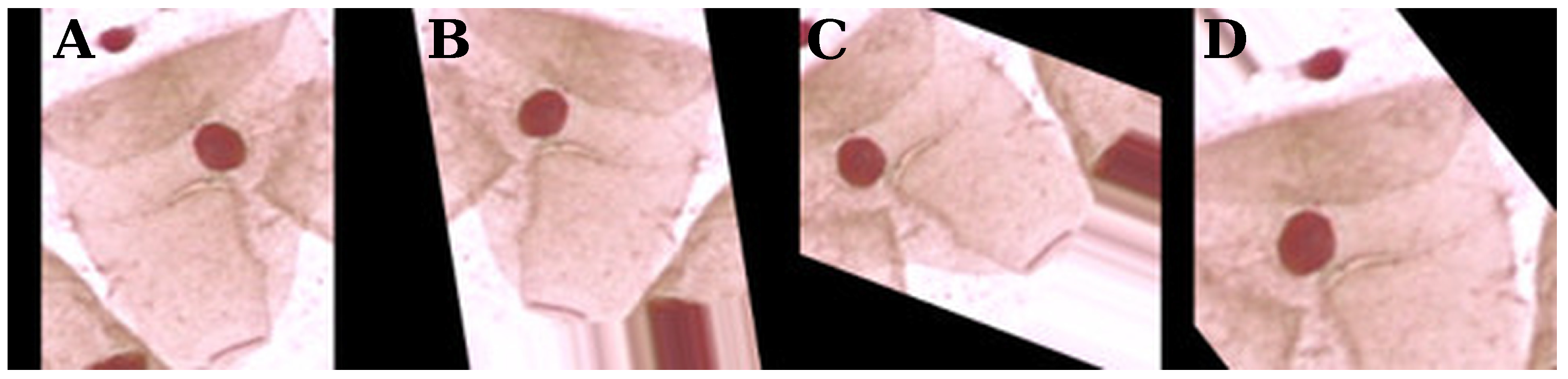 Mathematics 10 00980 g005 550