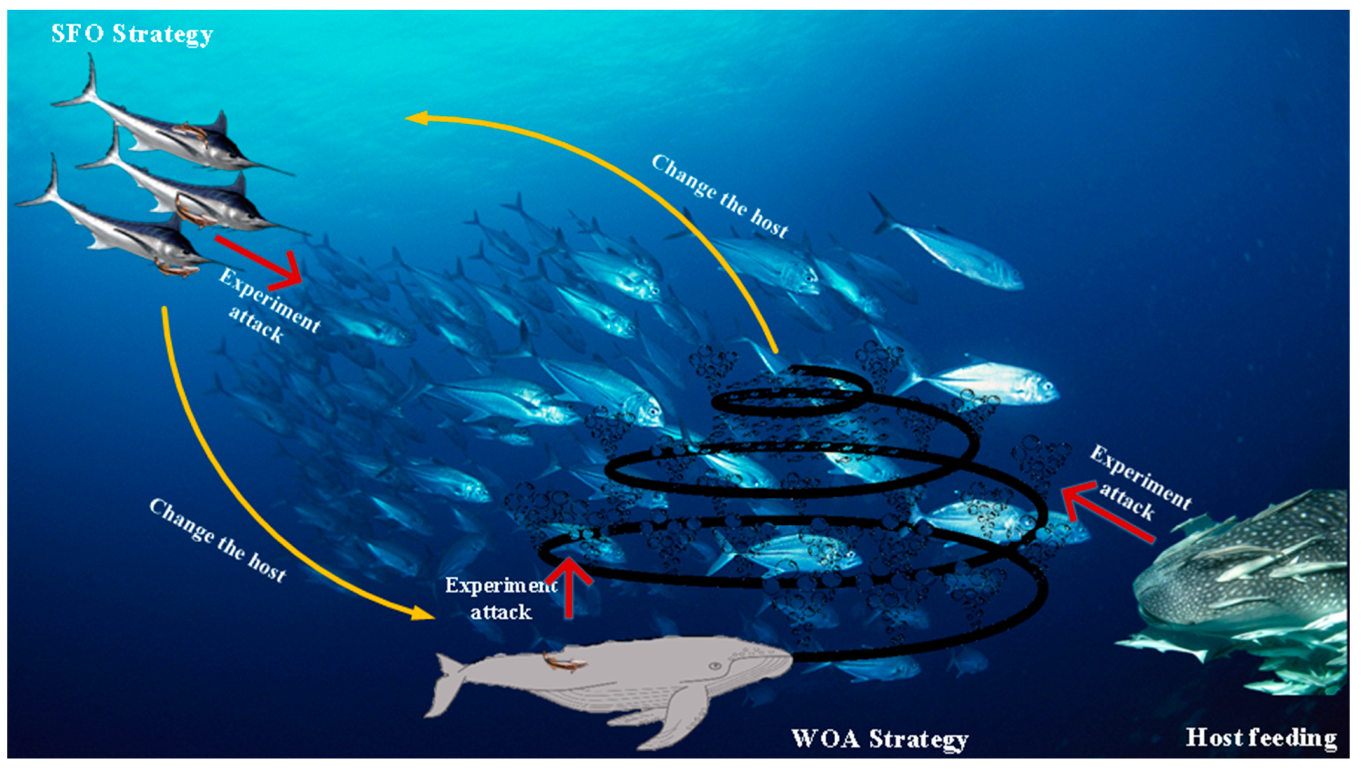 Mathematics 10 01014 g001