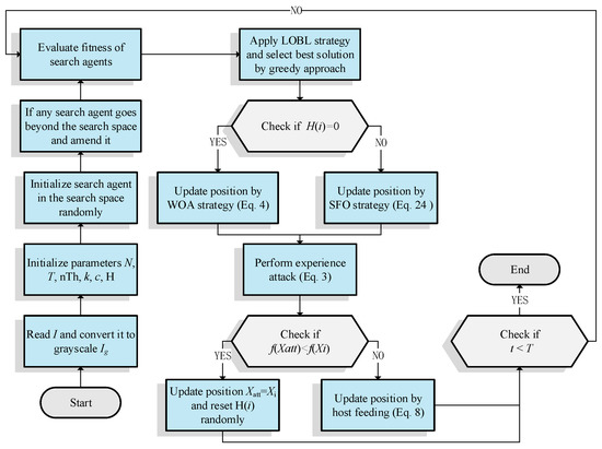 Mathematics | Free Full-Text | Modified Remora Optimization Algorithm ...
