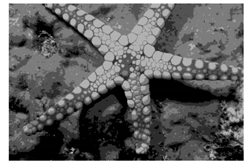 Mathematics 10 01014 i001