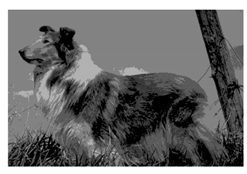 Mathematics 10 01014 i017