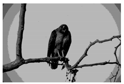 Mathematics 10 01014 i041