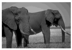 Mathematics 10 01014 i052