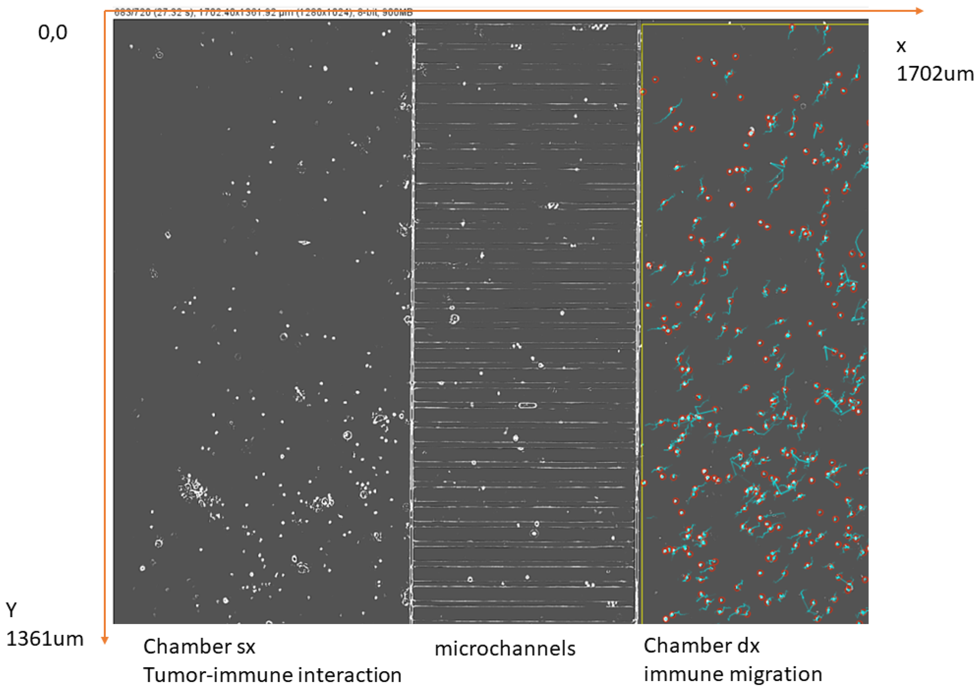 Mathematics 10 01338 g003 550