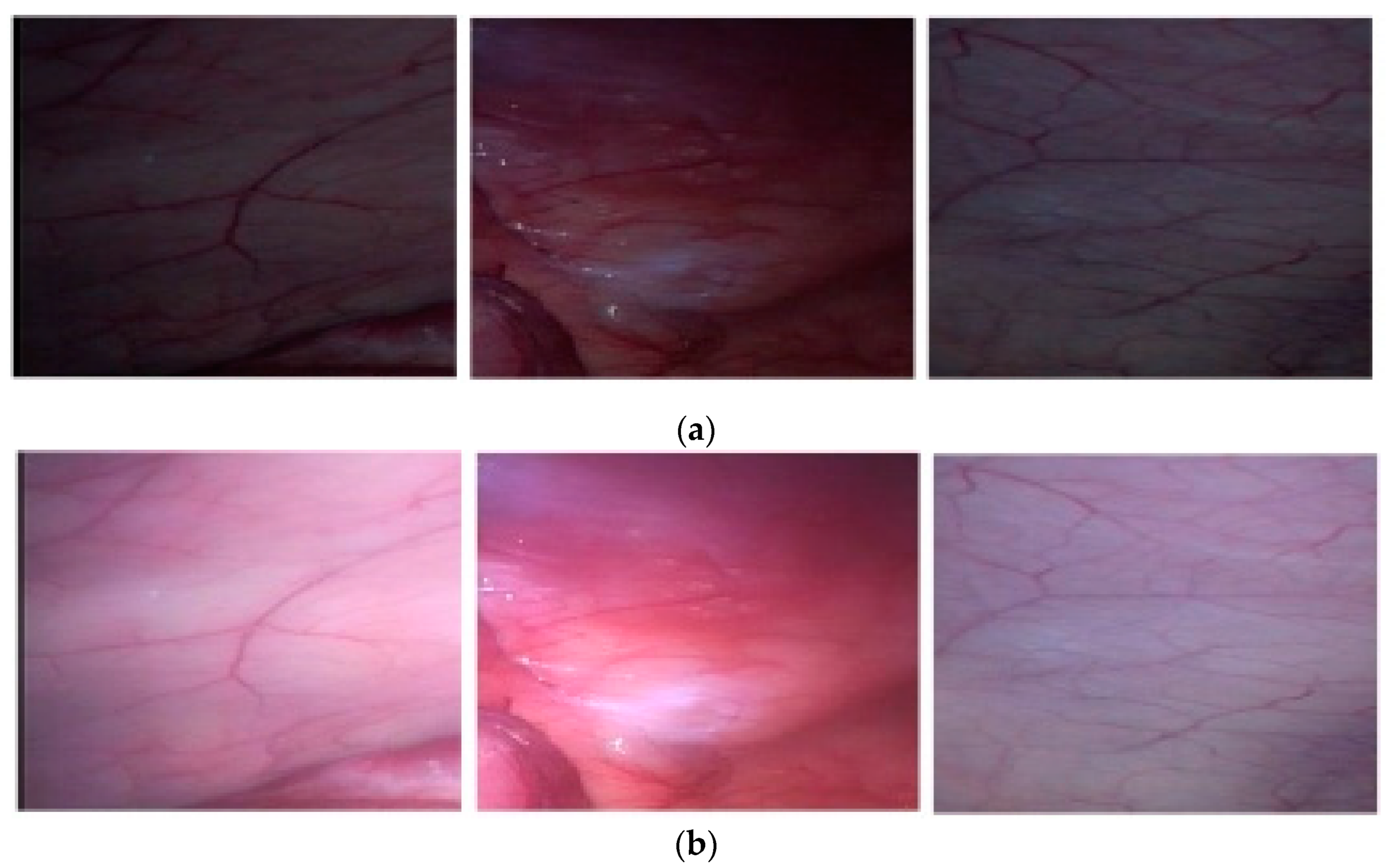 Mathematics 10 01423 g004