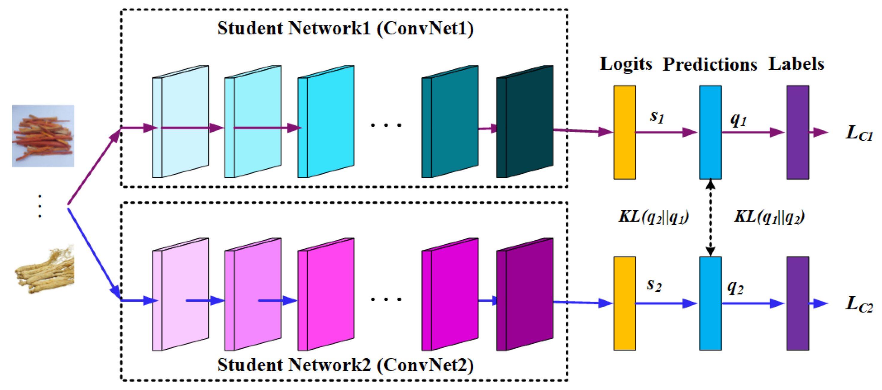 Mathematics 10 01557 g002 550