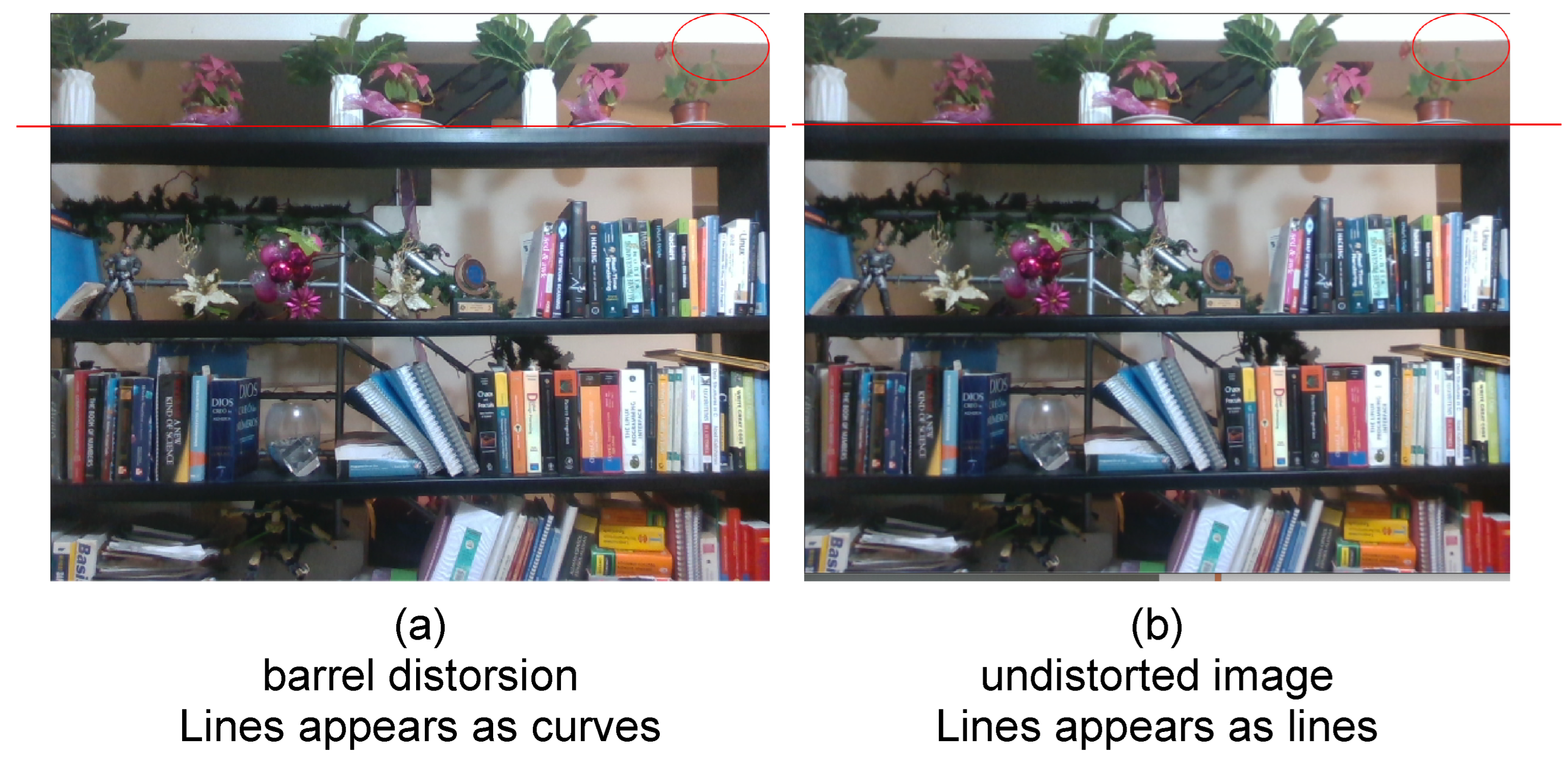 Mathematics 10 02085 g003