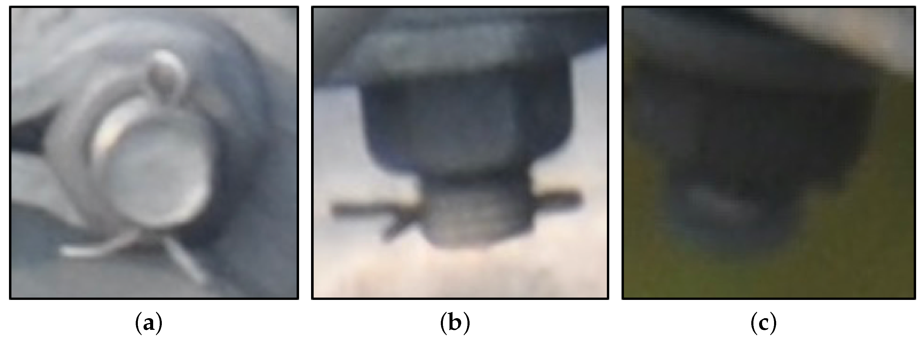 Mathematics 10 02150 g006 550