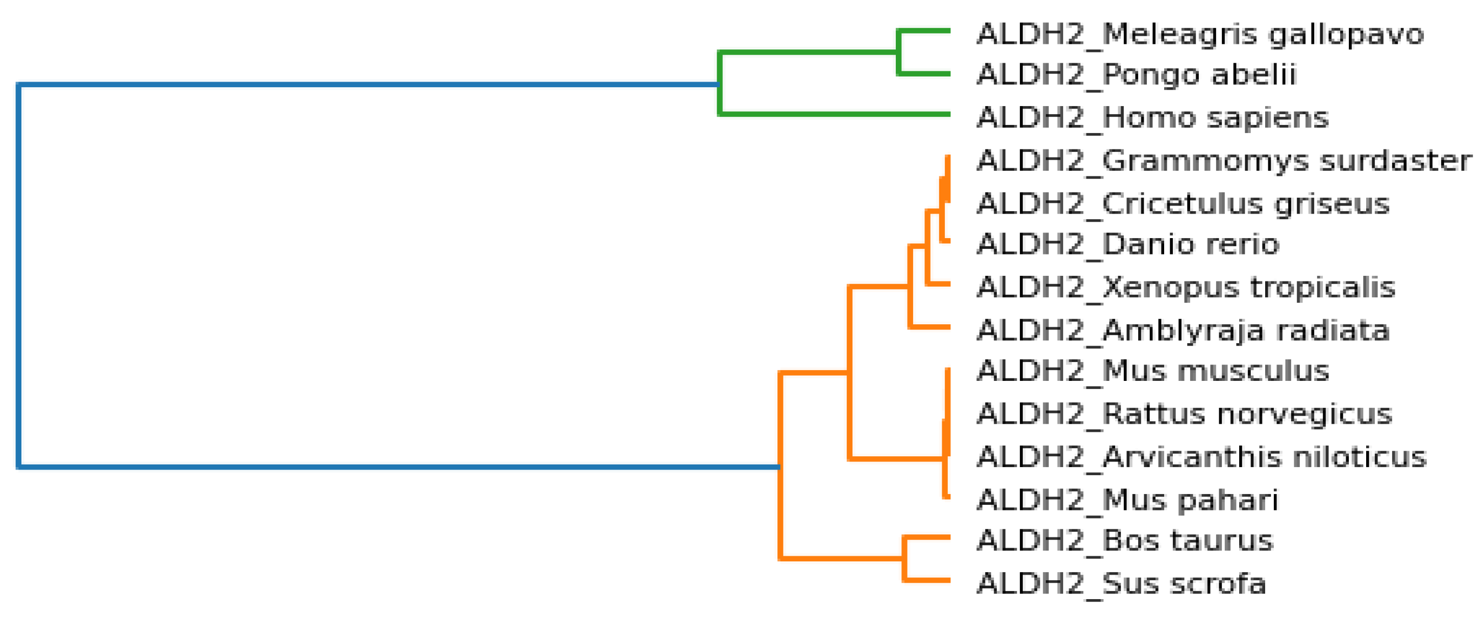 Mathematics 10 02228 g005