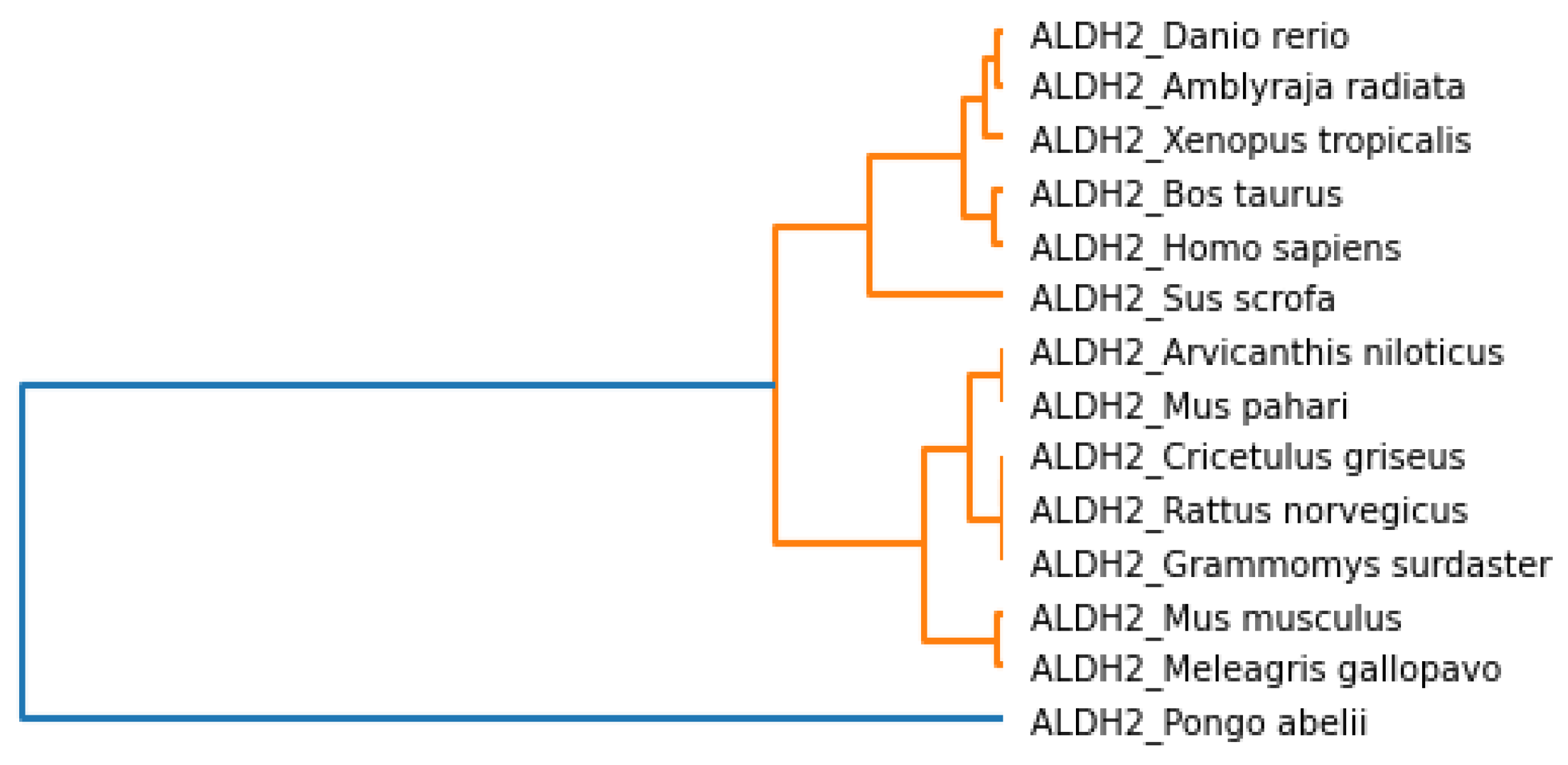 Mathematics 10 02228 g011