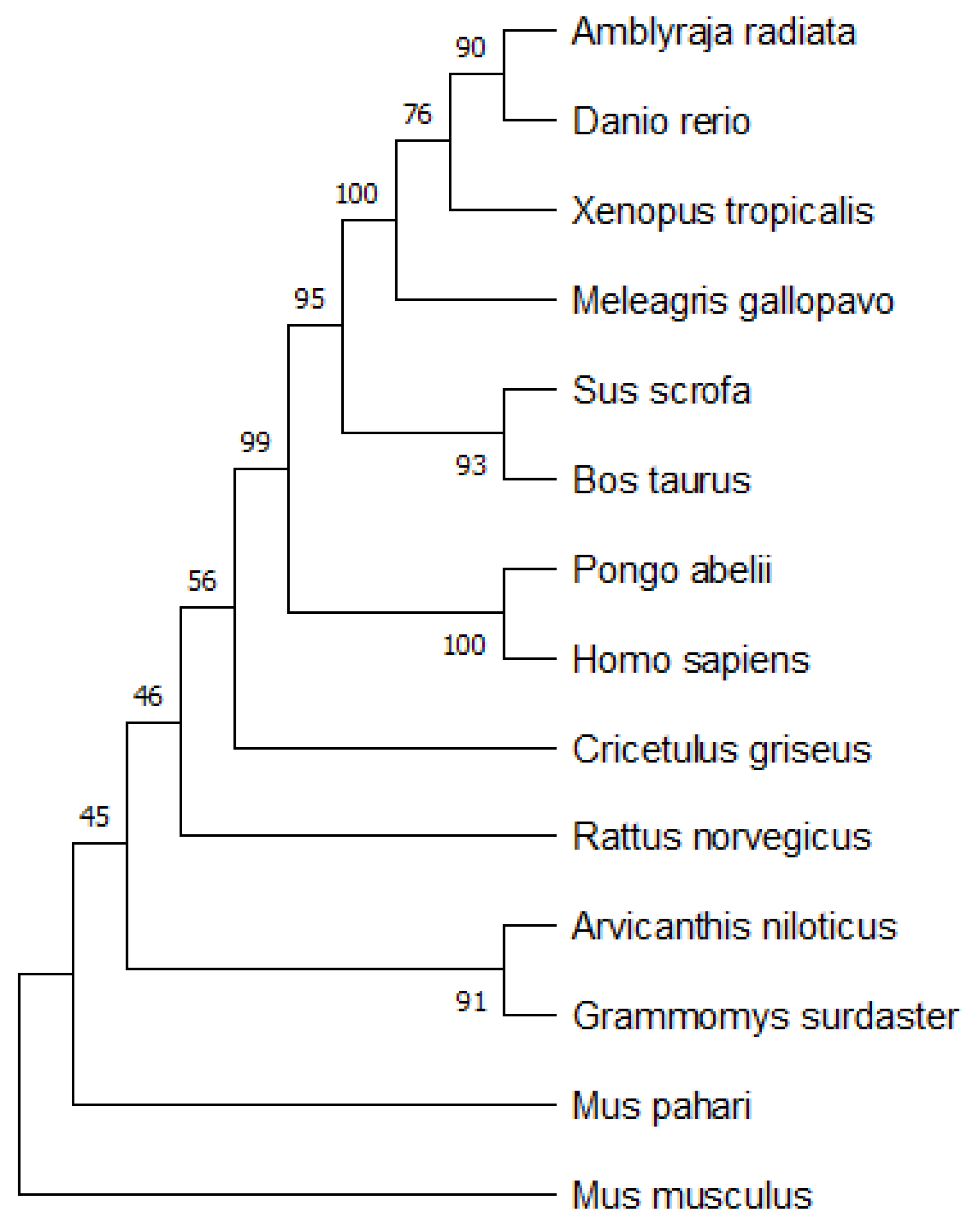 Mathematics 10 02228 g020