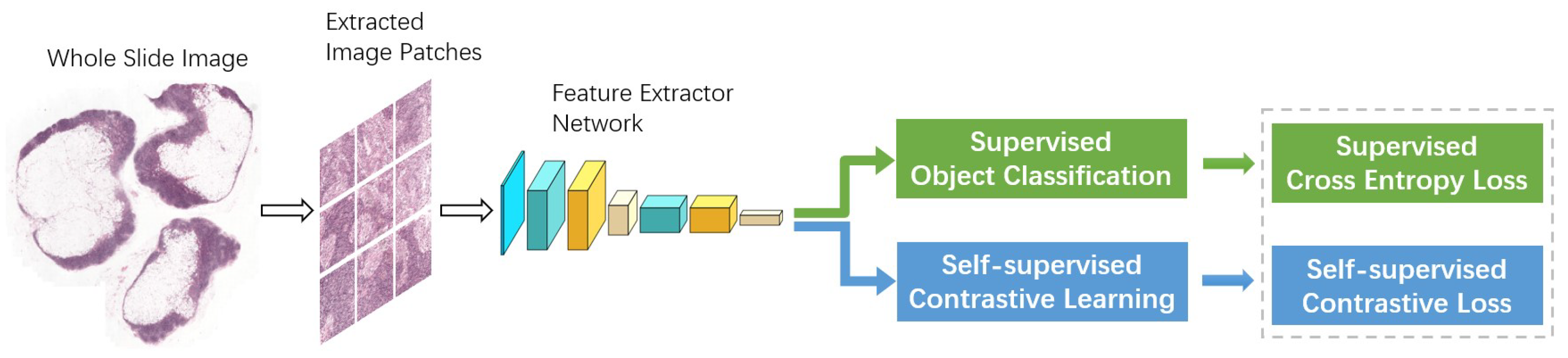 Mathematics 10 02404 g001
