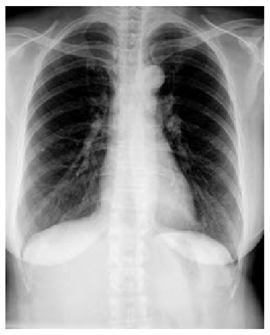 Mathematics 10 02421 i008