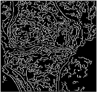 Mathematics 10 02421 i144