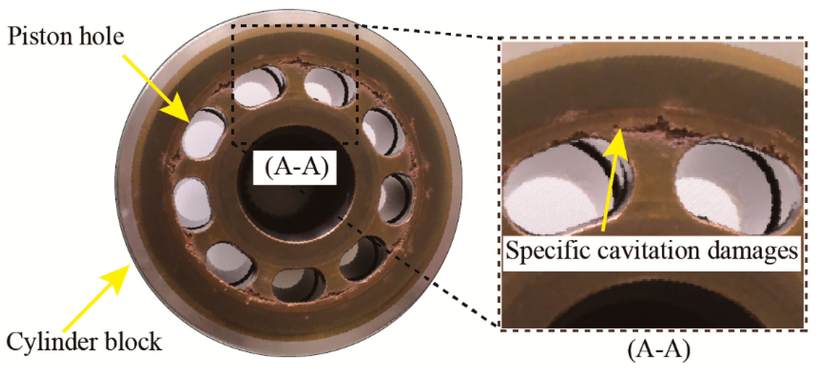 Gz. Modelling and Fault Detection for Specific Cavitation Damage
